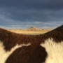 “haystack”