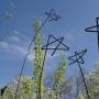 “day stars” (<a href='/inquire.php?gallery=aspen&file=050110_049.jpg&caption=day stars'>Inquire about this piece</a>)