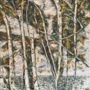 “aspen lake #1” (<a href='/inquire.php?gallery=aspen&file=07C69D1A-C3B1-405E-9047-4190B64A7DE6_1_201_a.jpeg&caption=aspen lake #1'>Inquire about this piece</a>)<br />info: 36x60<br />price: $4000