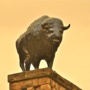“hot springs south dakota” (<a href='/inquire.php?gallery=buffalo&file=092407_042.jpg&caption=hot springs south dakota'>Inquire about this piece</a>)