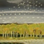 “migration” (<a href='/inquire.php?gallery=landscape&file=C3B80953-41F9-4E6E-BFDA-21AF14FA0E89_1_201_a.jpeg&caption=migration'>Inquire about this piece</a>)<br />info: 24x24<br />price: $600