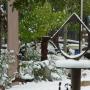 “multiple pieces in the garden”