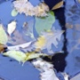 “” (<a href='/inquire.php?gallery=pools&file=DSC02166.JPG&caption='>Inquire about this piece</a>)