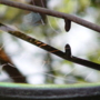 “” (<a href='/inquire.php?gallery=pools&file=DSC08855.JPG&caption='>Inquire about this piece</a>)