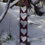 “hearts” (<a href='/inquire.php?gallery=sculpture&file=DSC09531.JPG&caption=hearts'>Inquire about this piece</a>)<br />price: free