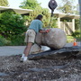 “library installation” (<a href='/inquire.php?gallery=wallrock&file=library.jpg&caption=library installation'>Inquire about this piece</a>)<br />info: eccentric garden<br />price: donation